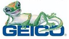 Geico Insurance